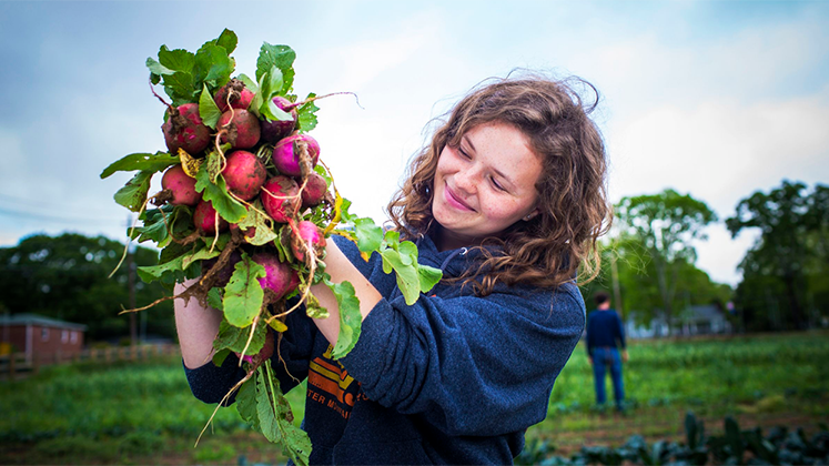 A student admires radishes grown on Oxford's Organic Farm.