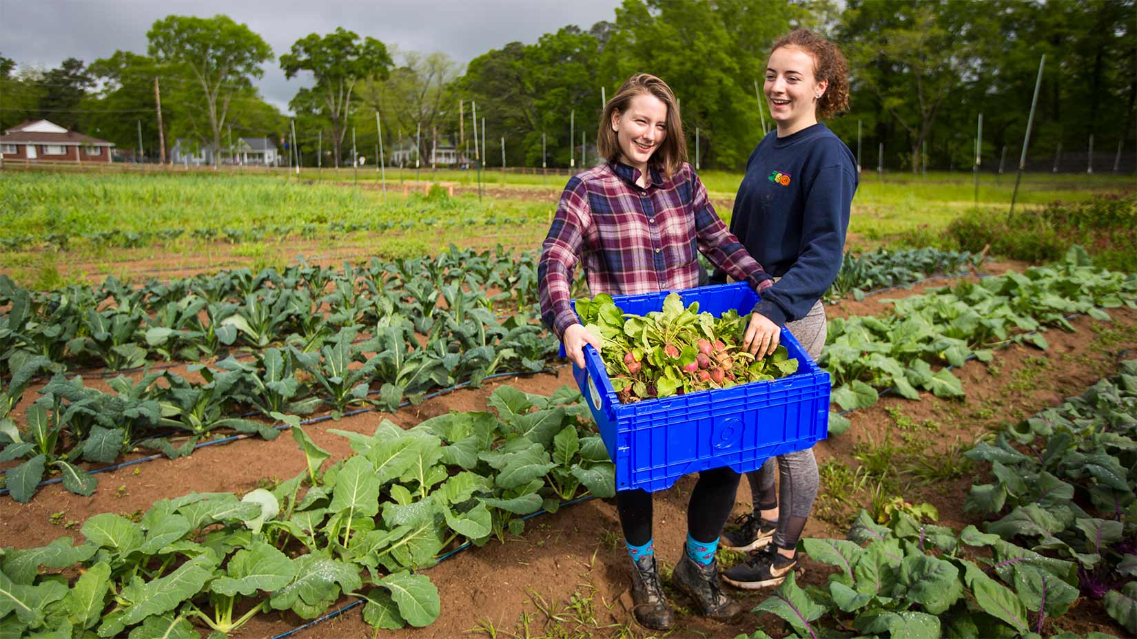 Organic Farm Emory University Atlanta GA