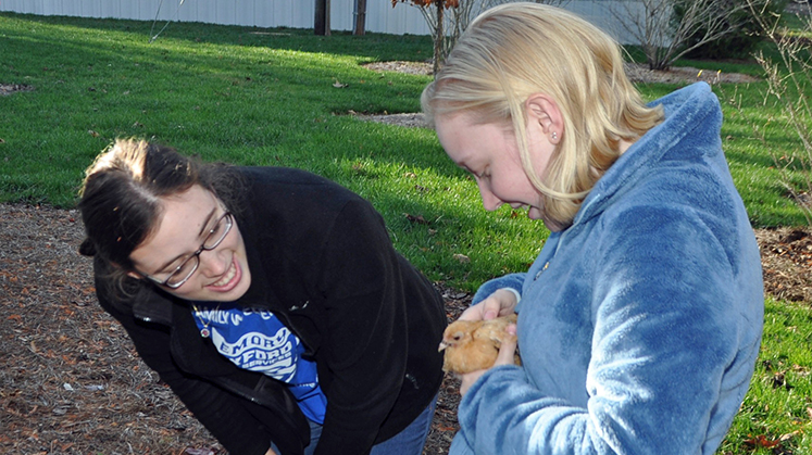 A petting zoo was one of the activities to help students destress.