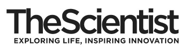 The Scientist logo