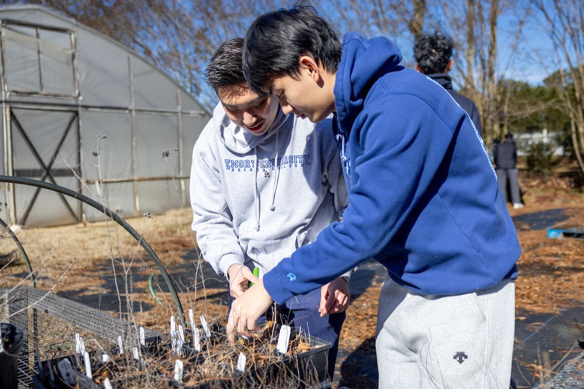 Oxford Students helping during Emory's MLK Day of Service