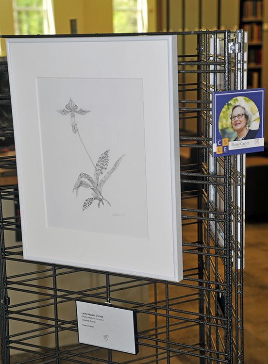 The showcase features podcasts, theatrical costumes, and botanical drawings/