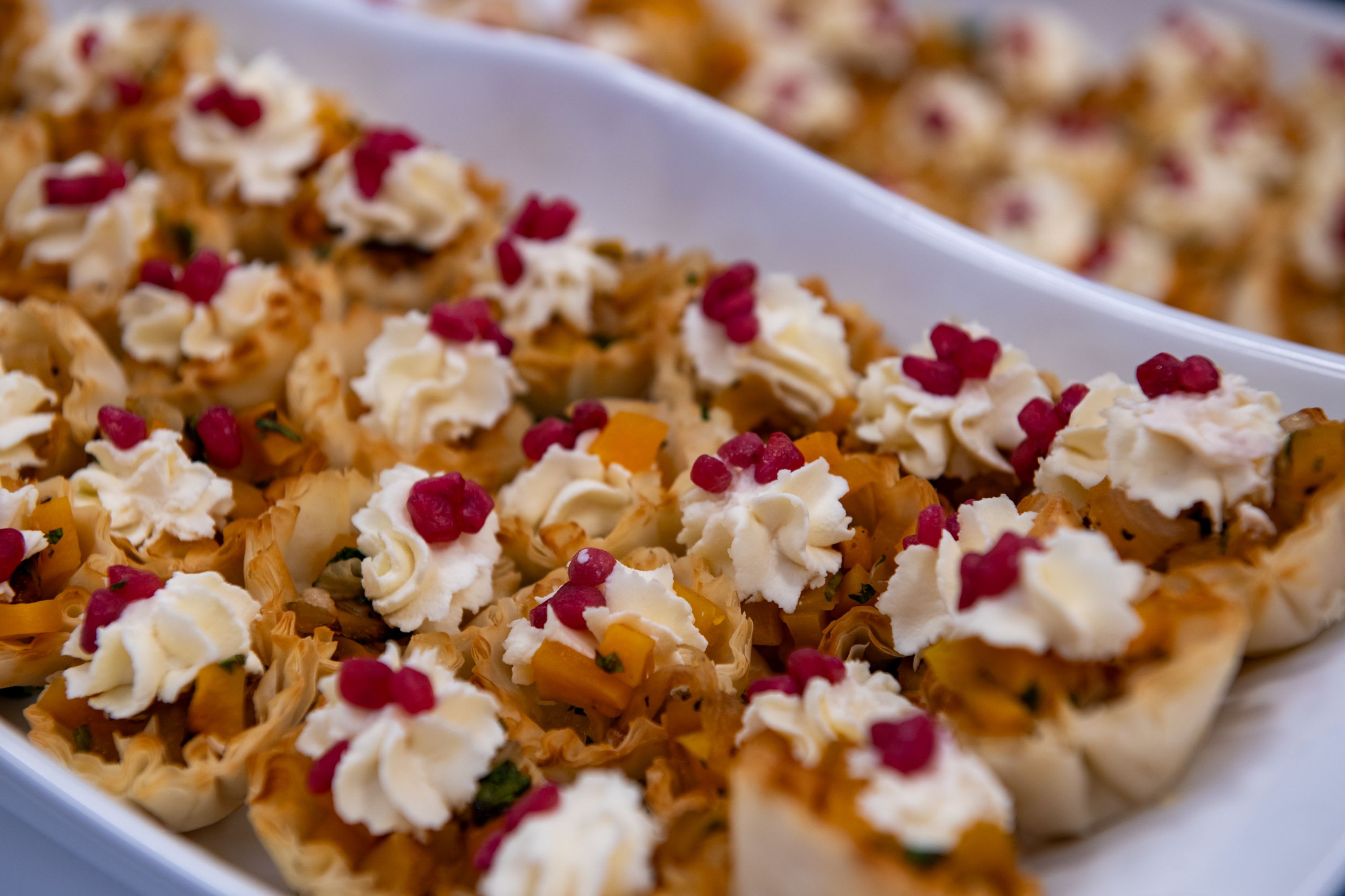 Oxford College Organic Farm 10 Year Celebration.