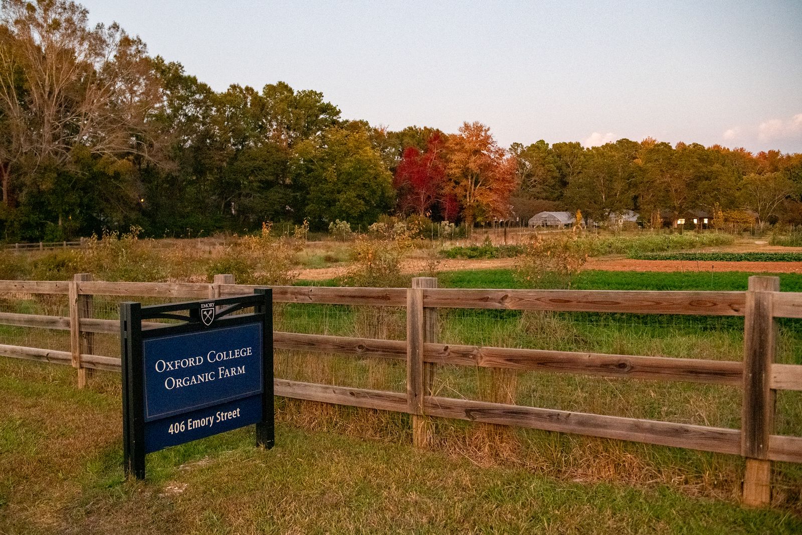 Oxford Organic Farm Celebrates 10 Years of Student Enrichment and Community Sharing.