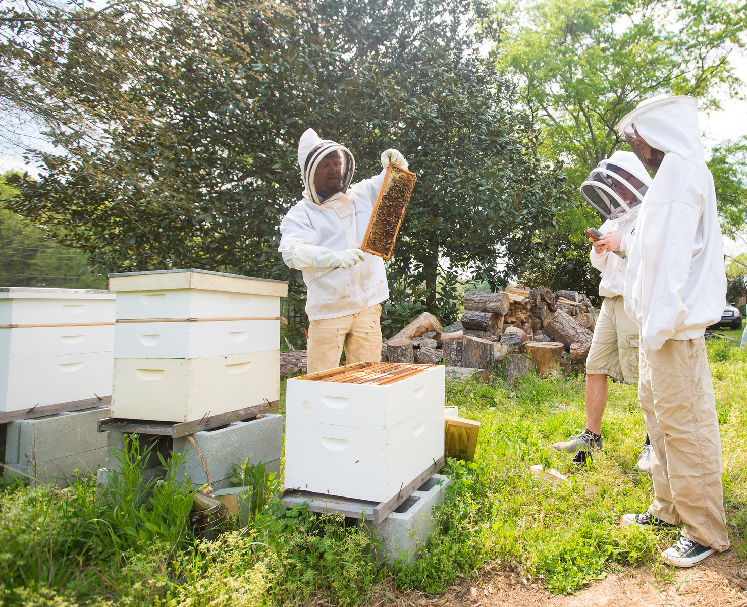 Daniel Parson, demonstrating honey harvesting to students.