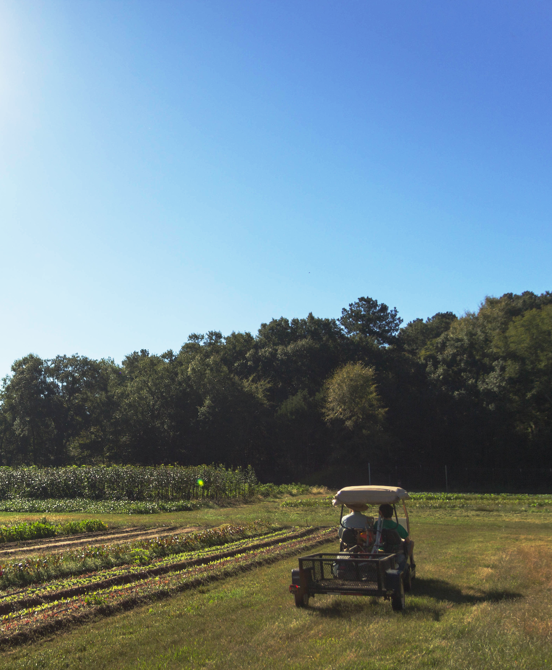 Oxford farm cart.