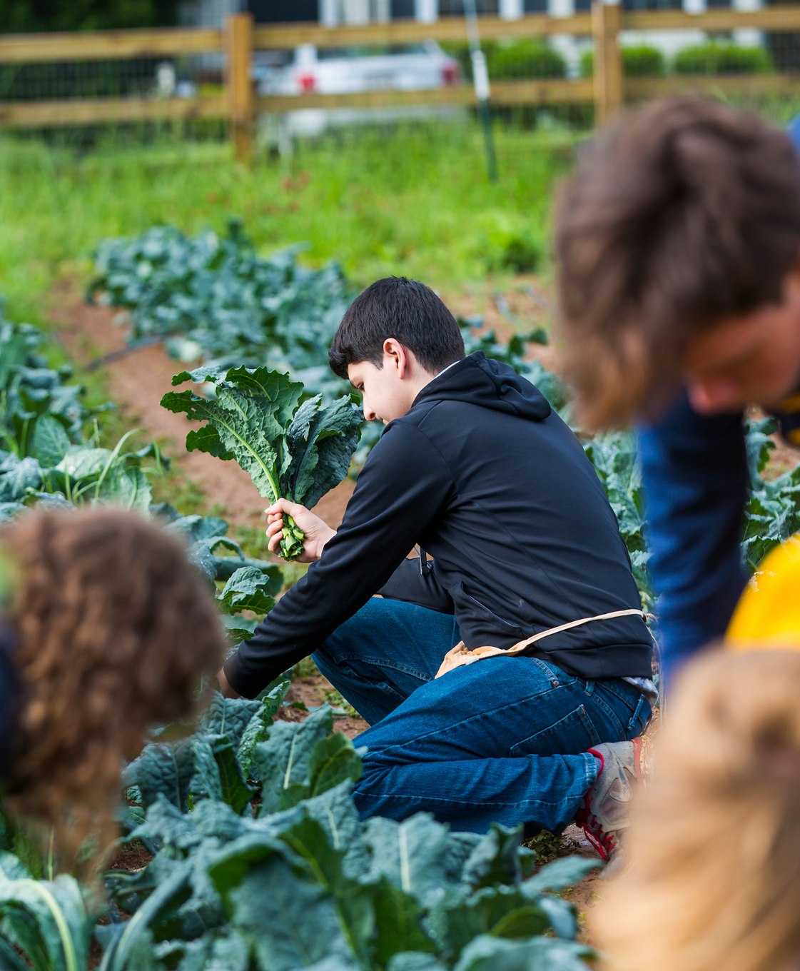 Oxford farm student volunteers.