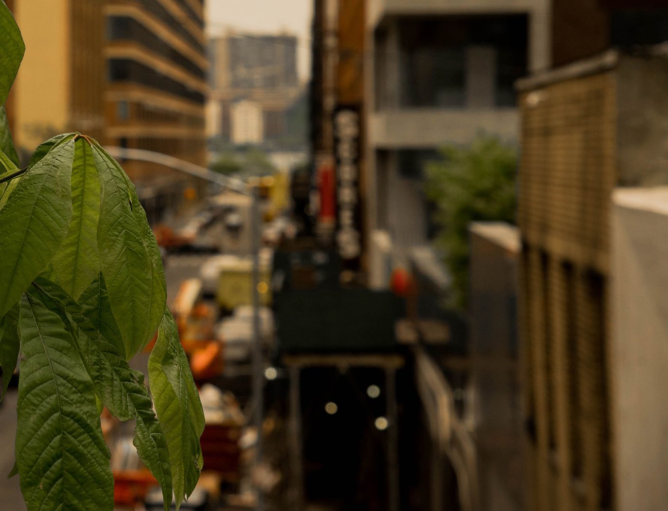 Street artists tackle issues like women's rights and immigration.