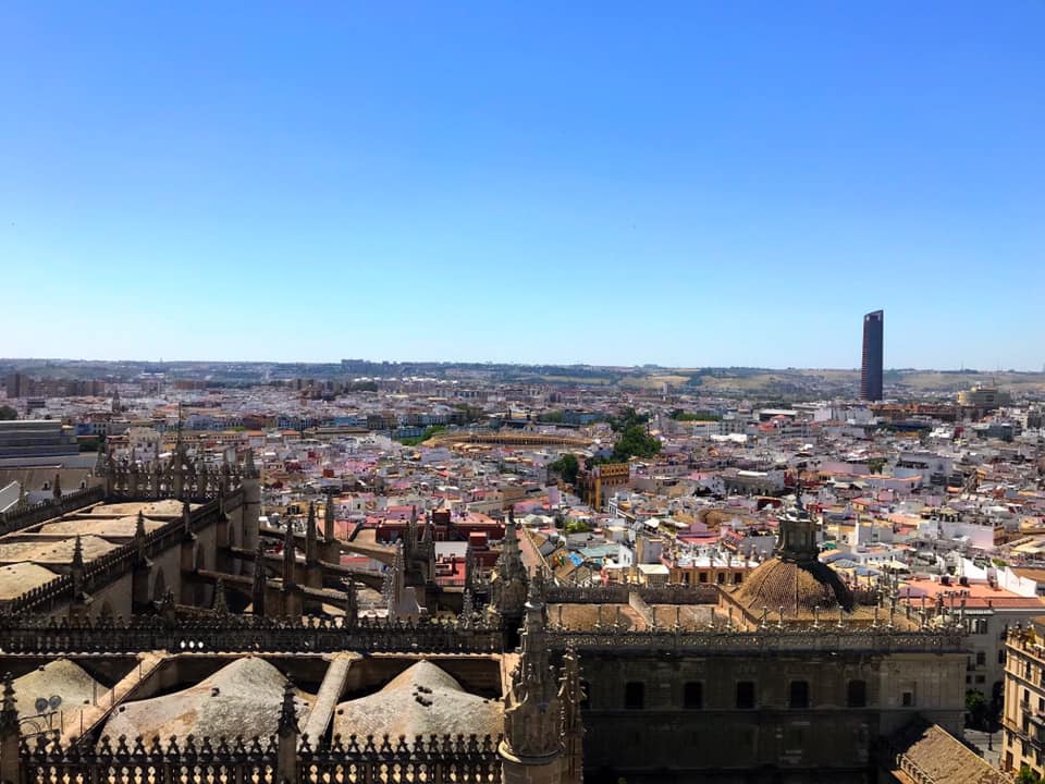 Travel programs at Oxford have over a 30-year history.