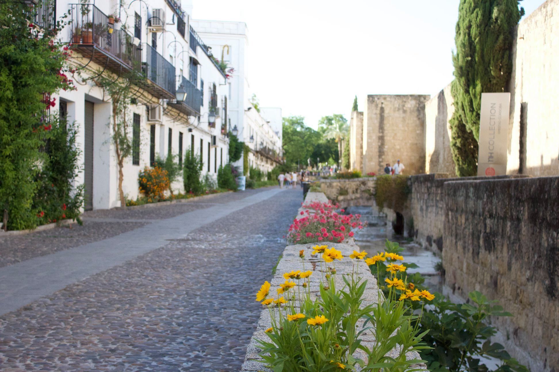 A view from the streets of Córdoba.