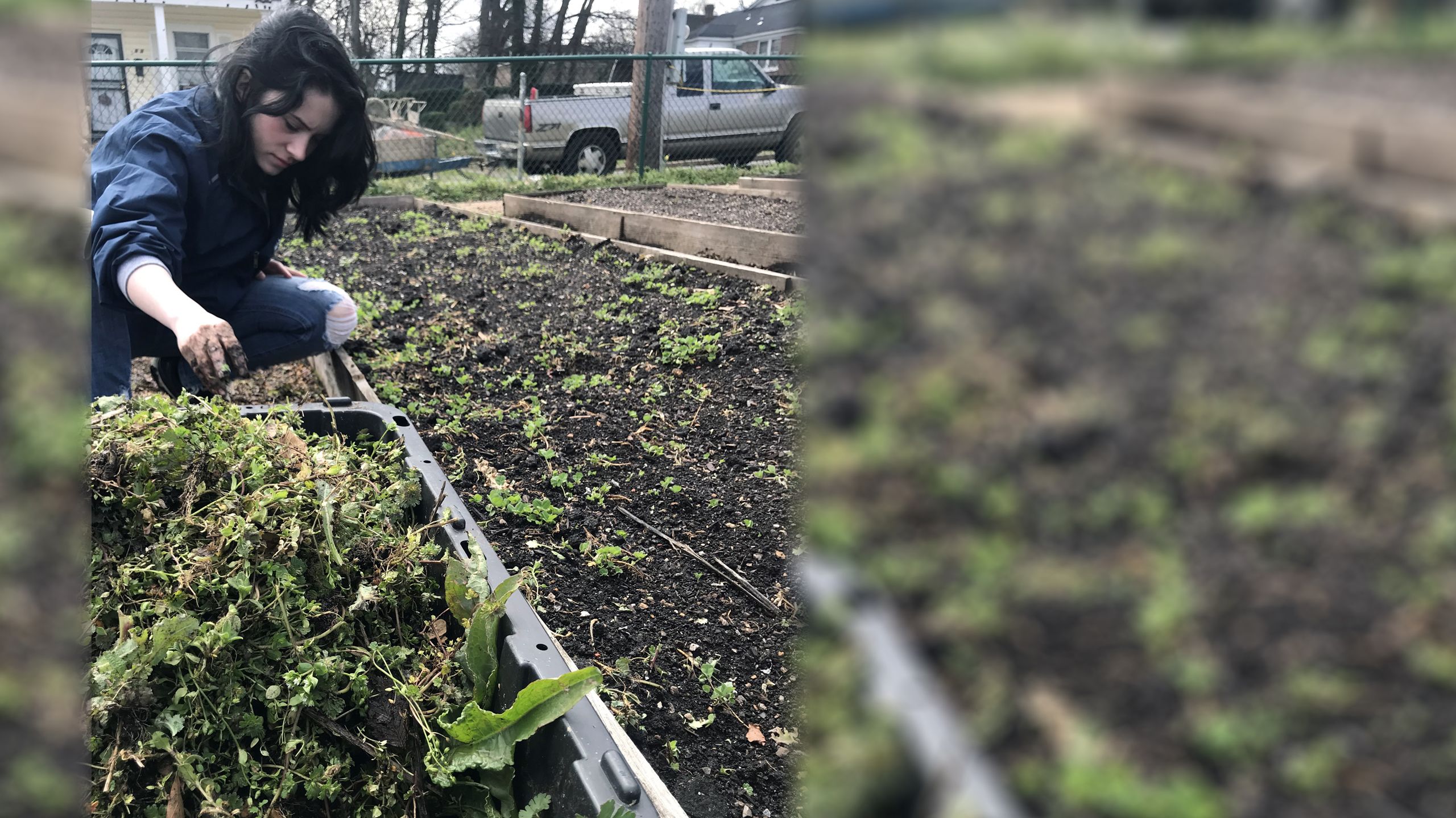 Students worked on two urban farms in Memphis