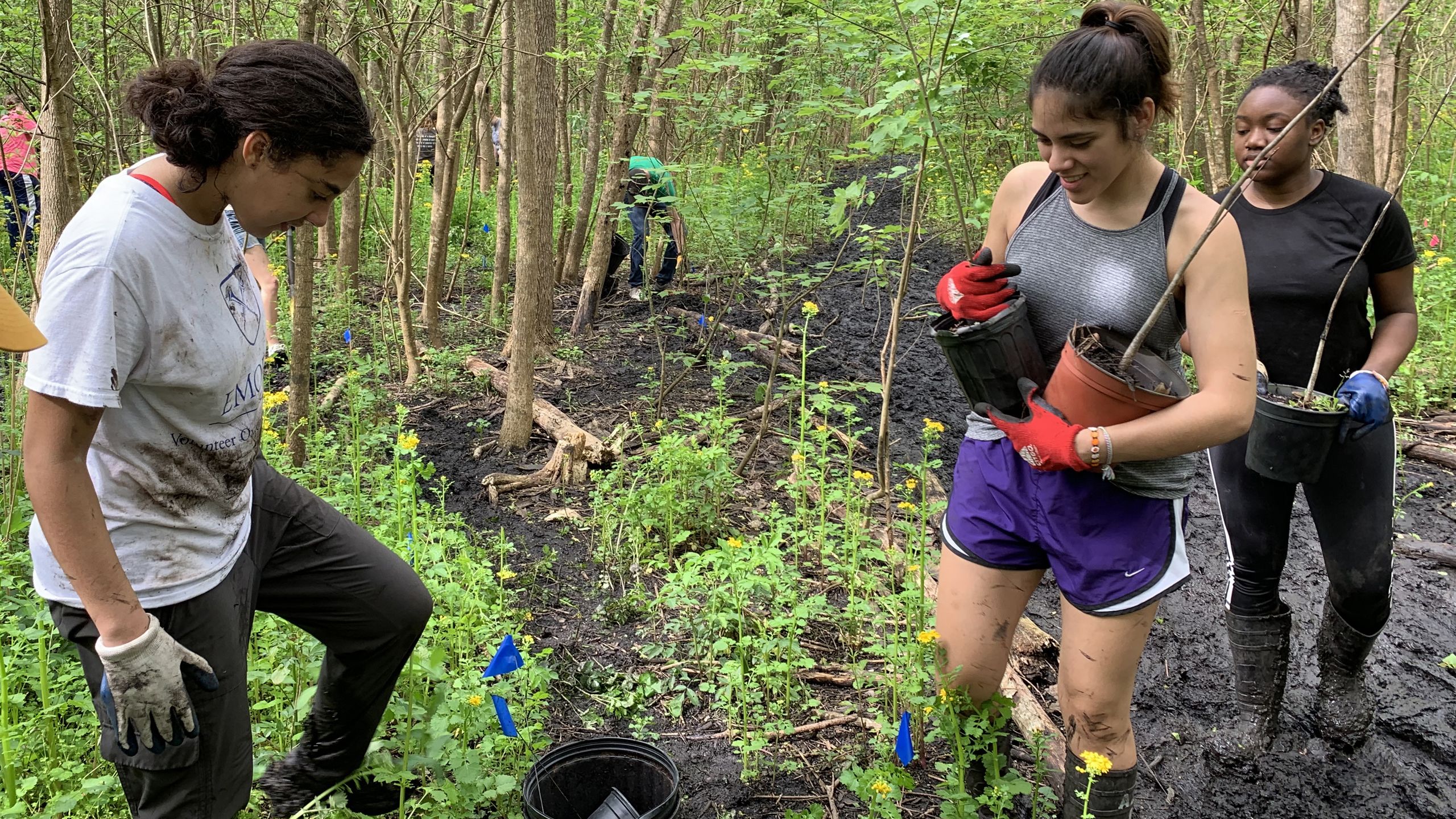 Students plant as part of environmental preservation.