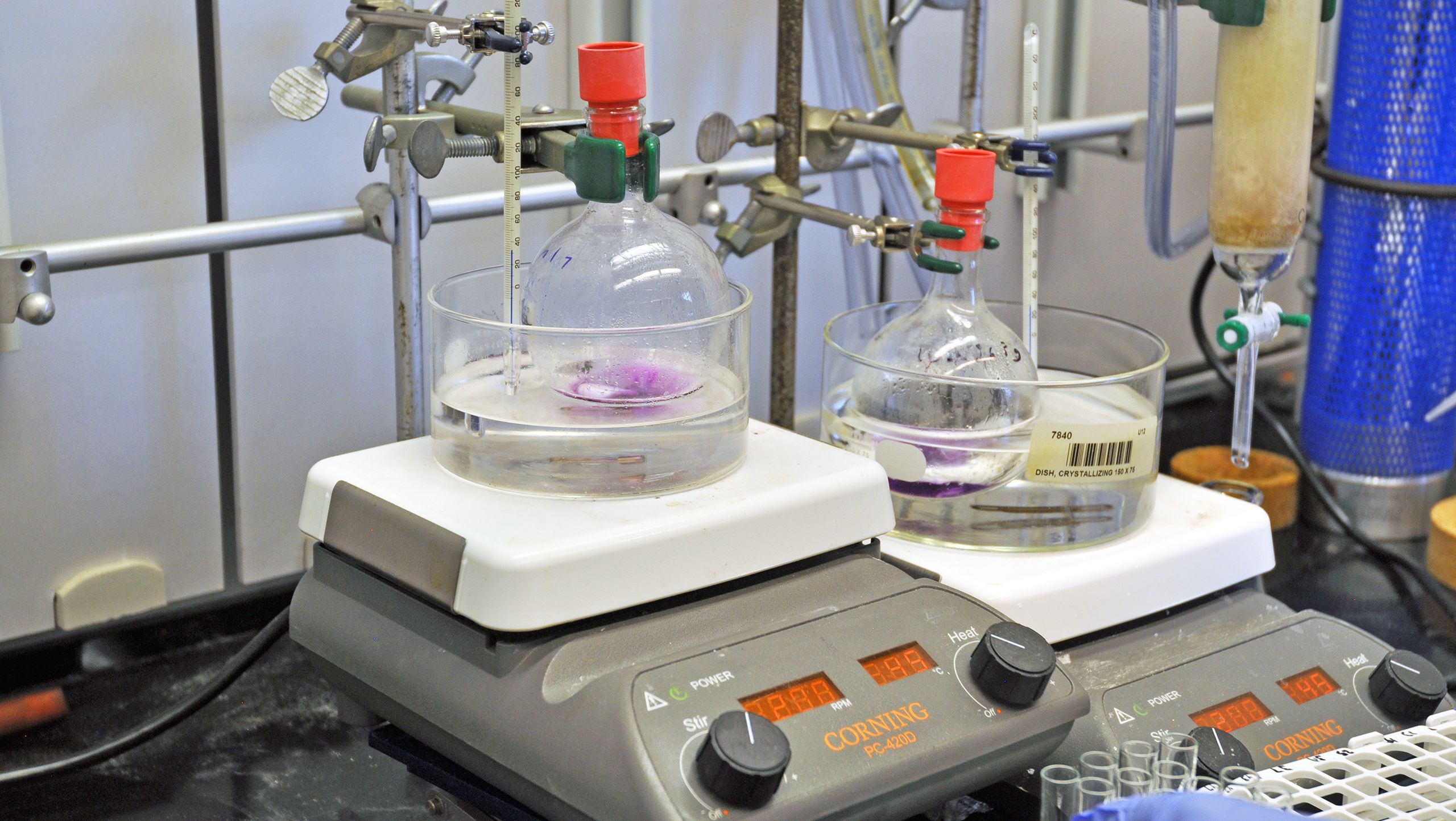 In the 10-week summer sessions the students learn a host of new skills.