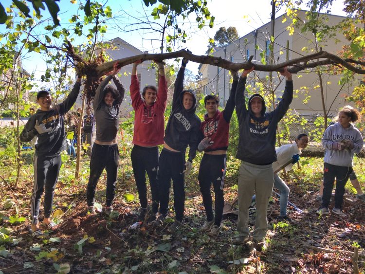 Volunteers removed invasive plant species on campus and cleaned up the Oxford trails. 