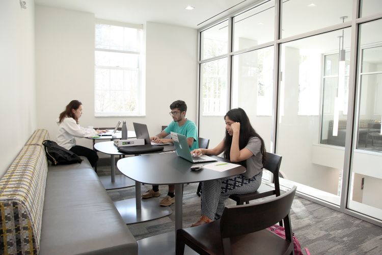 Students study in a conference room surrounded by floor to ceiling windows.